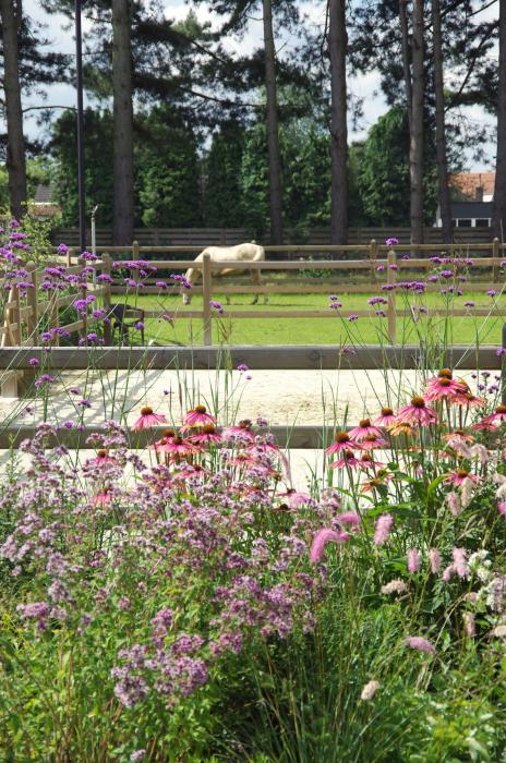 Landschapstuin met paardenpiste te Zoersel