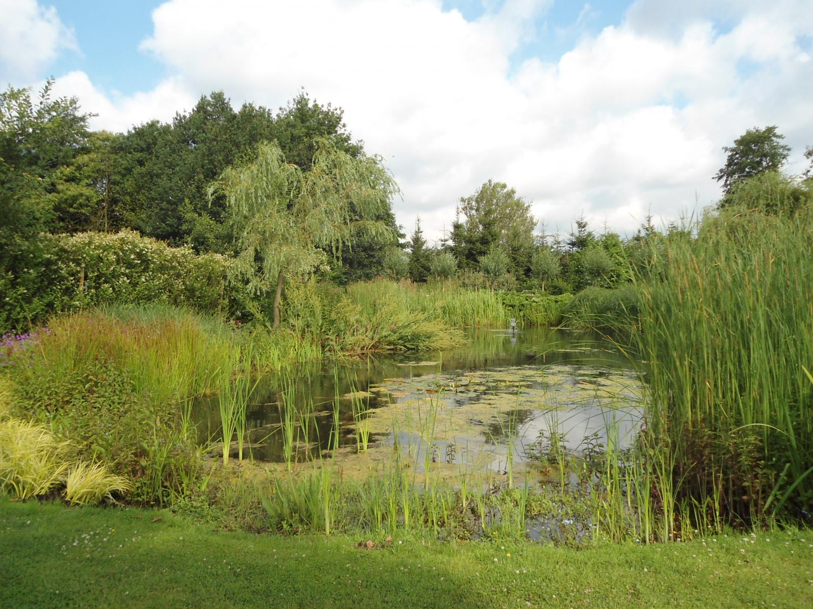 Ecologische vijvertuin